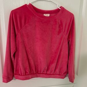 Cat & Jack matching Velour set